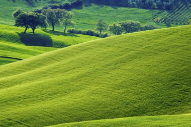 Italian fields clipart