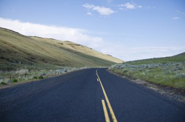 kırsal yol açtı