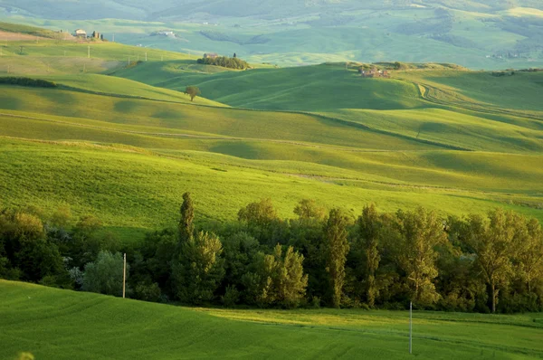 Italienische Felder — Stockfoto