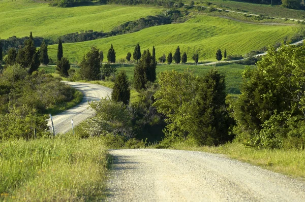 Estrada de cascalho, campo italiano — Fotografia de Stock