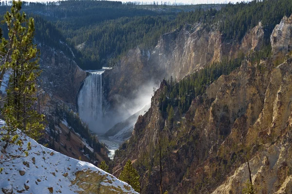 Yellowstone fällt — Stockfoto
