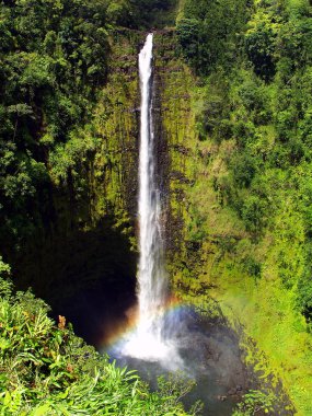 Akaka Falls Waterfall clipart