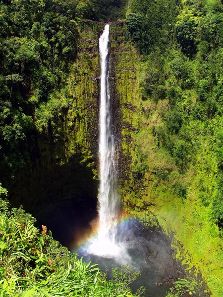 Cascata di Akaka Falls — Foto Stock