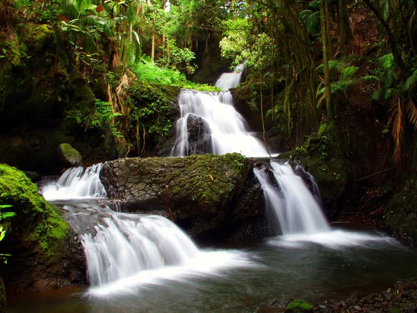 Hawaii Waterfall — Stock Photo, Image