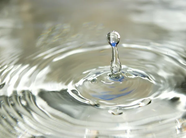 stock image Water Drop