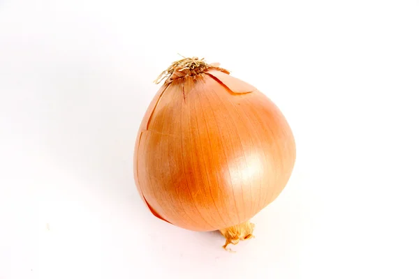 Raw Onion — Stock Photo, Image