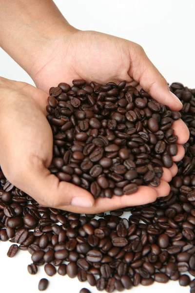 Kávová zrna, držel v ruce — Stock fotografie