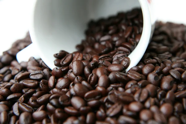 Кофейные зёрна с чашкой — стоковое фото