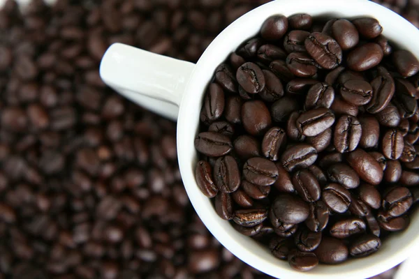 Kaffeebohnen mit Tasse — Stockfoto