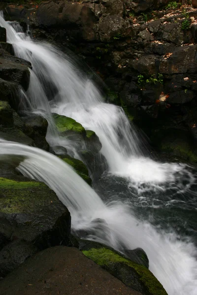 Cascata muschiosa in estate — Foto Stock