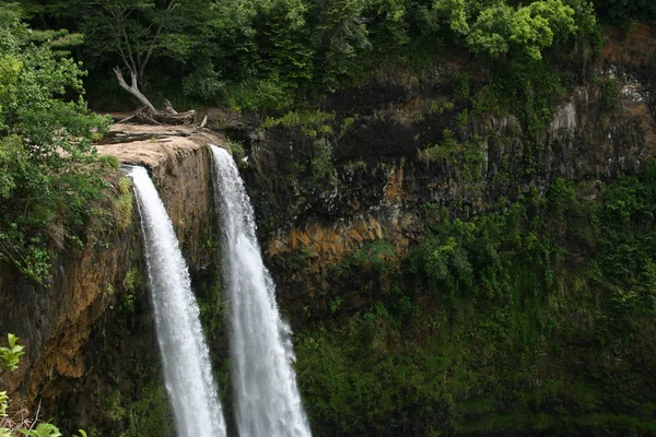 Waterfall in Hawaii — Stock Photo, Image