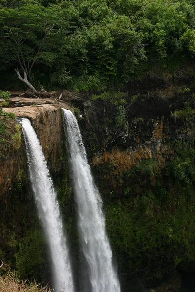 Podwójne pionowe wodospad — Zdjęcie stockowe