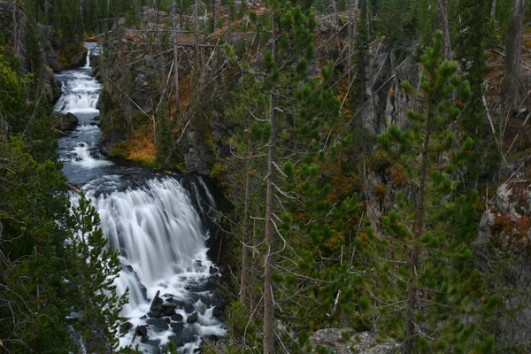 Yellowstone Falls Rio Rushing — Fotografia de Stock