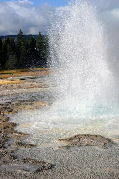 Geyser de Yellowstone — Photo