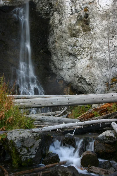 Wasserfall mit Bäumen — Stockfoto