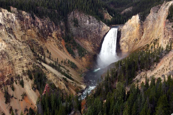 Yellowstone Falls фону — стокове фото