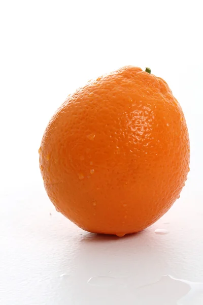흰색 배경에 있는 주황색 — 스톡 사진