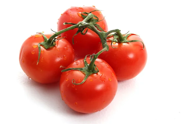 Tomatoes on white background — Stock Photo, Image