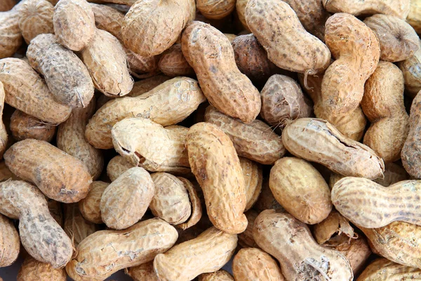 stock image Bunch of peanuts