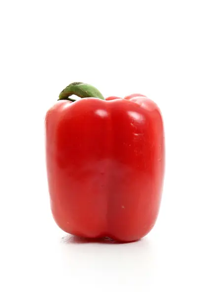 stock image Pepper on White Background