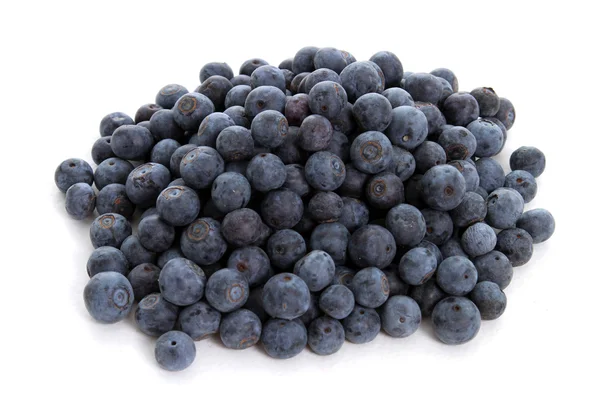 stock image Blueberries on White Background