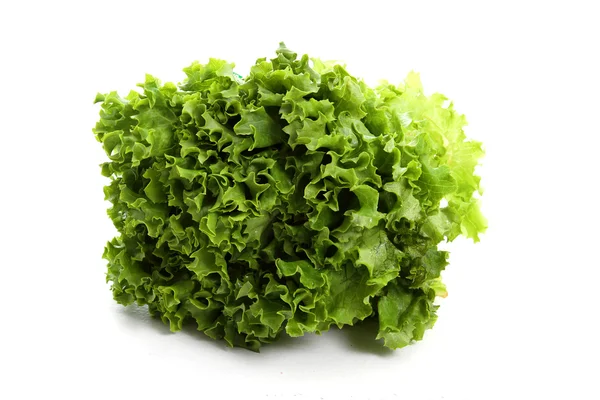 Lettuce on White Background — Stock Photo, Image