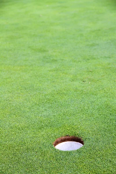 골프 컵 — 스톡 사진