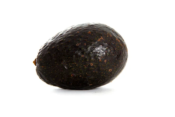 Одиночный авокадо — стоковое фото