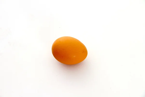 stock image Single Egg