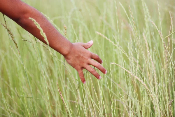 Fată în iarbă — Fotografie, imagine de stoc