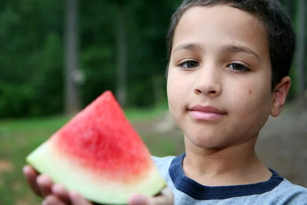 Vattenmelon — Stockfoto