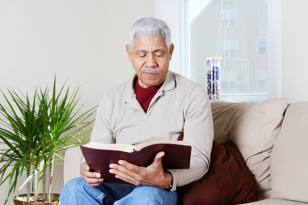 Senior hipanic man lezing Bijbel — Stockfoto