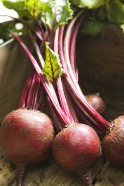 Bunch of beetroot clipart