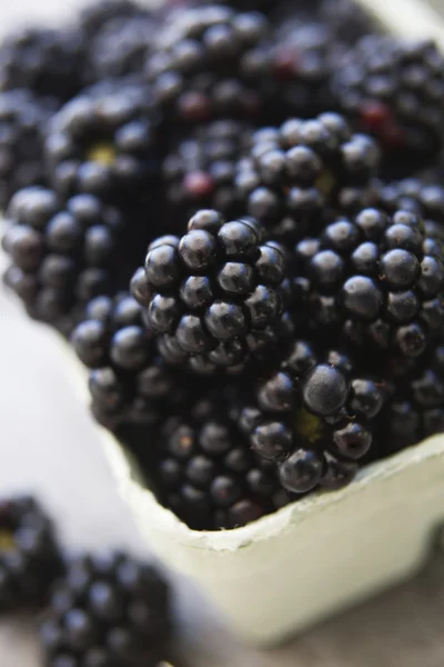 stock image Fresh Blackberries