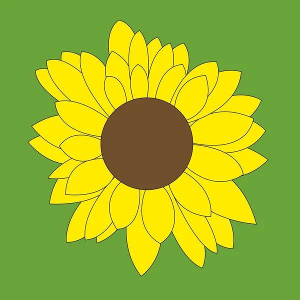 stock vector Sunflower