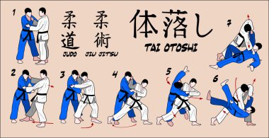 Judo tekniği
