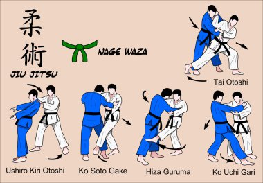 Judo ve jiu jitsu teknikleri