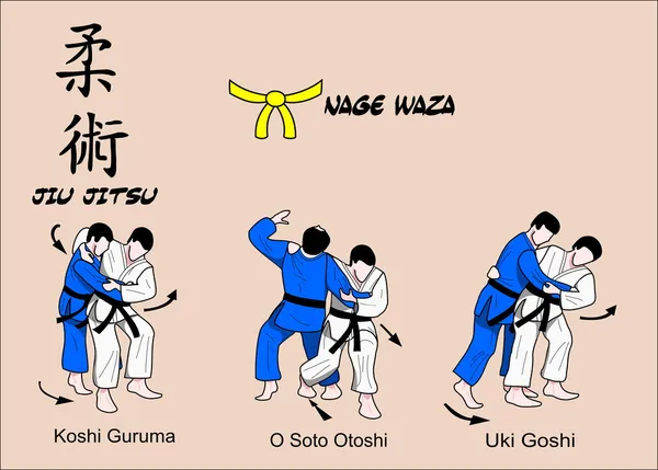 Techniken des Judo und Jiu Jitsu — Stockvektor
