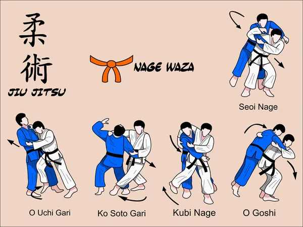 Judi e Jiu jitsu Tecniche di arte marziale — Vettoriale Stock