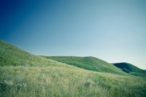 Stock image Green hills and blue sky