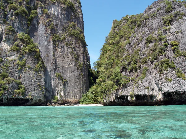 stock image Tropical view