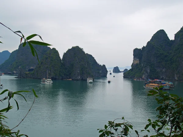 stock image Amazing Halong bay