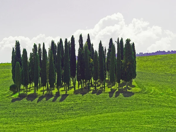 Paisagem da Toscana. A paisagem da Toscana. Itália — Fotografia de Stock