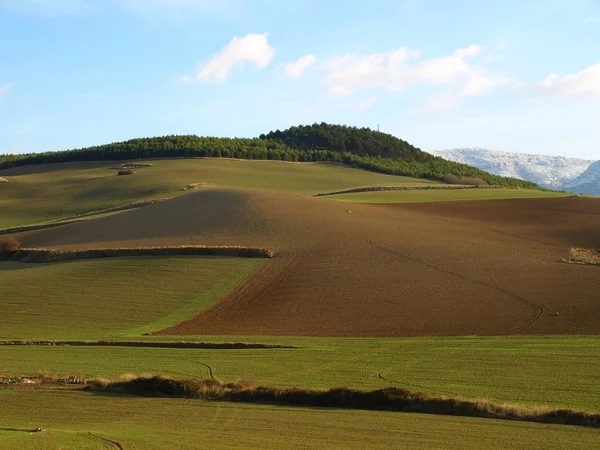 Травяные холмы Элорца — стоковое фото