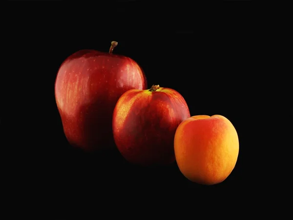 stock image Fruits Lineup