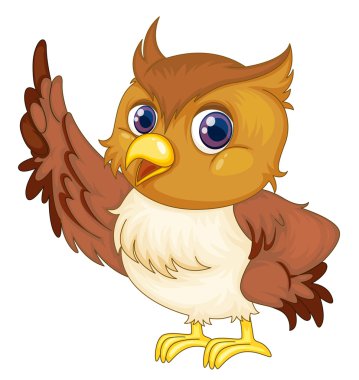 owl on white clipart