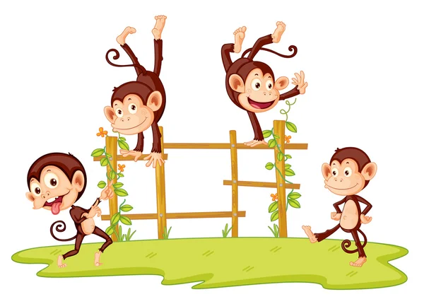 猴子 — 图库矢量图片
