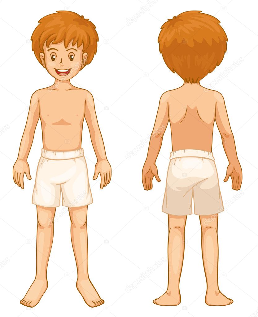 Boy body parts — Stock Vector © interactimages #10032205