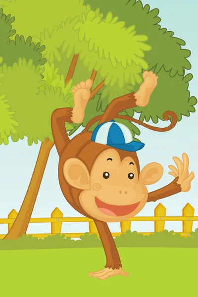 Monkey — Stock Photo, Image