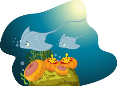 Two sting ray clipart